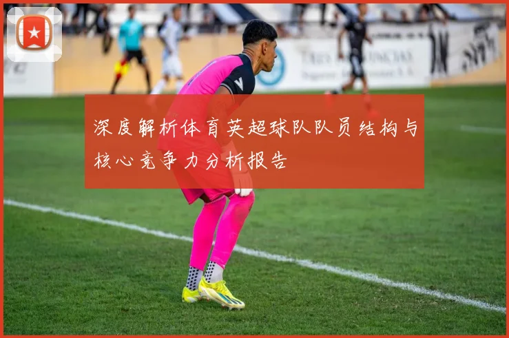 深度解析体育英超球队队员结构与核心竞争力分析报告