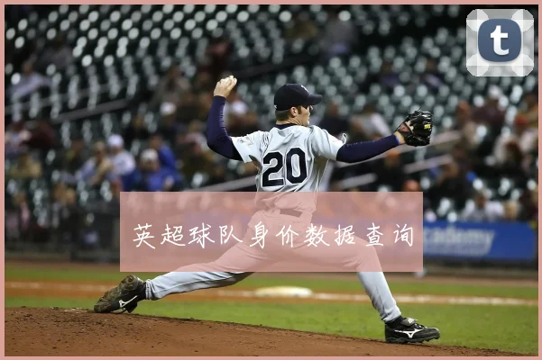 英超球队身价数据查询