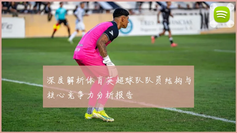 深度解析体育英超球队队员结构与核心竞争力分析报告