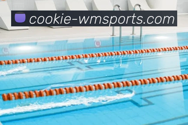 完美体育官网APP 体育赛事宣传图